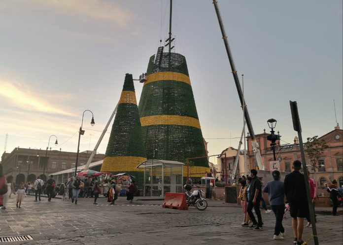 UN ÁRBOL TAN MONUMENTAL COMO LA CONFIANZA POTOSINA EN SU GOBIERNO ESTATAL